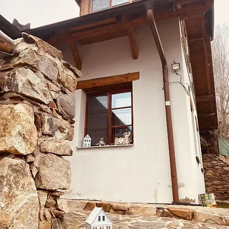 Srub Jenisov 아파트 Horní Planá