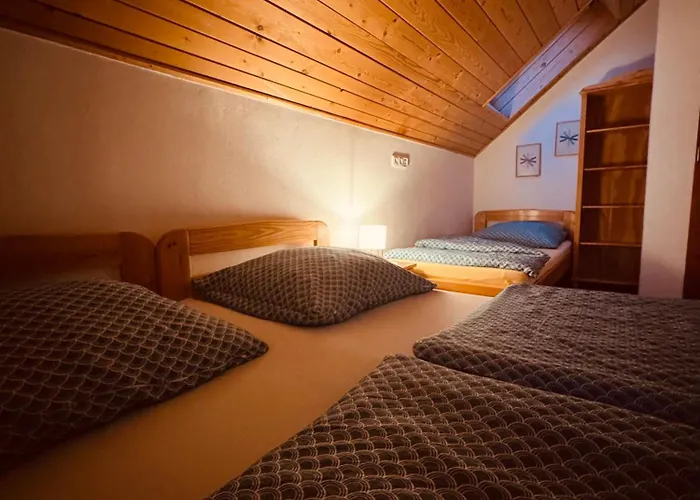 Srub Jenisov شقة Horní Planá
